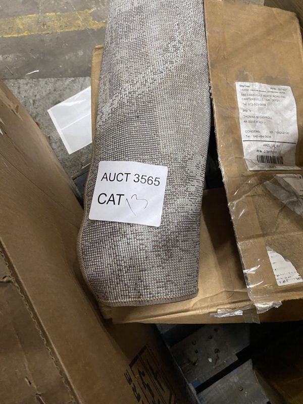 AUCT 3565 CAT 13 - Image 2