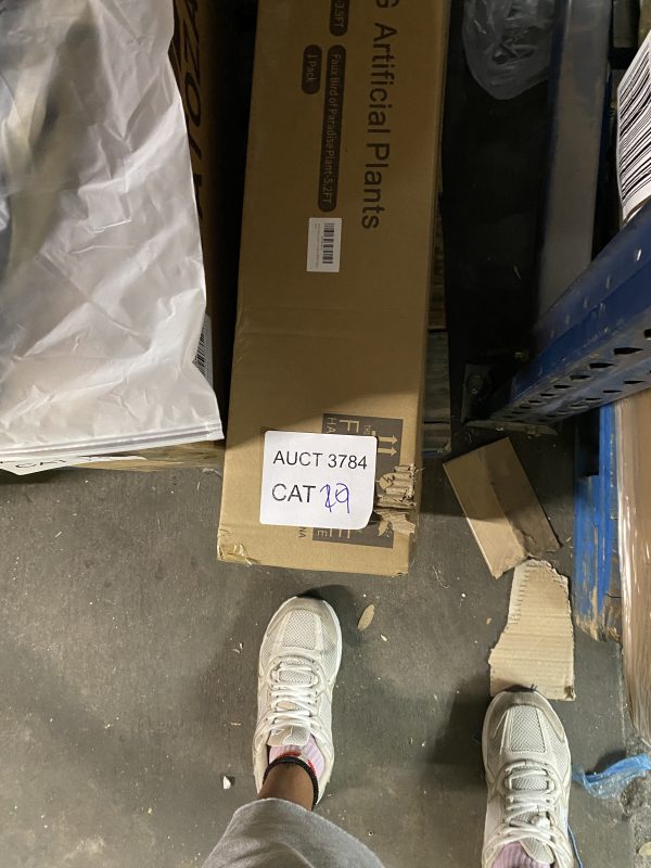 AUCT 3784 CAT 17 - Image 2