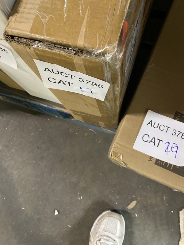 AUCT 3785 CAT 17 - Image 2