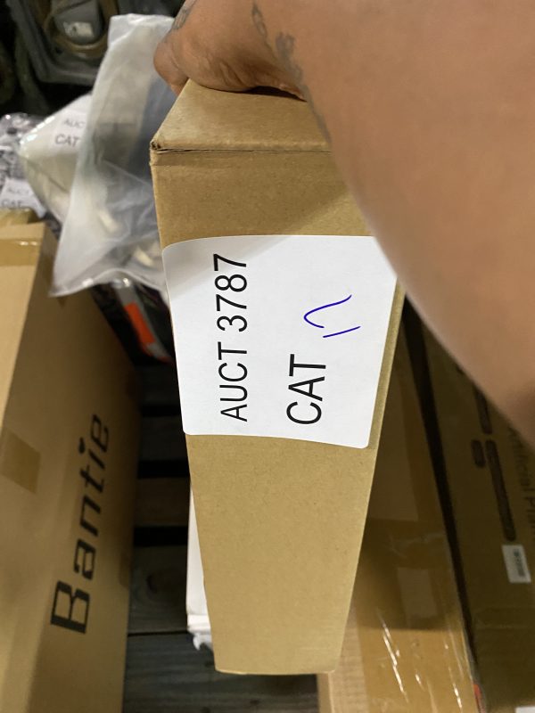 AUCT 3787 CAT 17 - Image 2