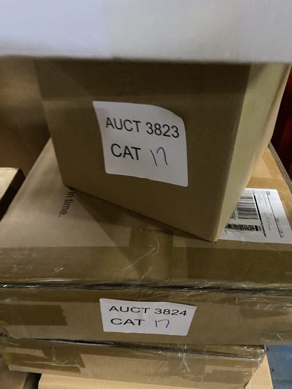 AUCT 3823 CAT 17 - Image 2