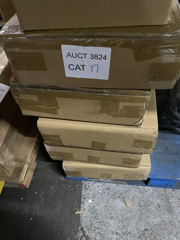 AUCT 3824 CAT 17 - Image 2