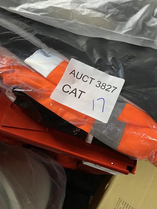 AUCT 3827 CAT 17 - Image 2