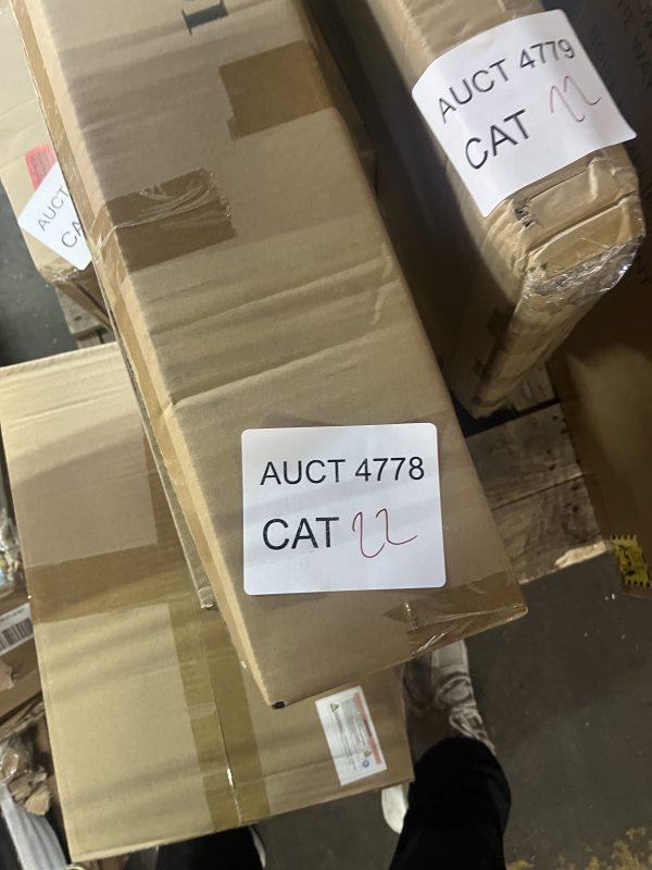 AUCT 4778 CAT 22 - Image 2