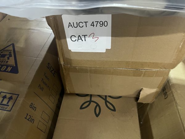 AUCT 4790 CAT 3 - Image 2