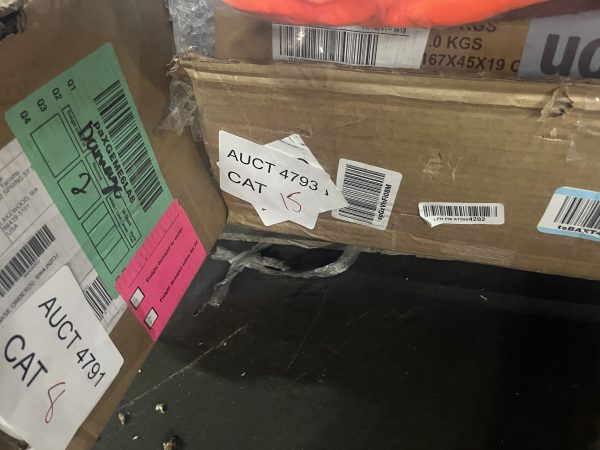 AUCT 4793 CAT 15 - Image 2