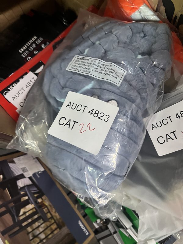 AUCT 4823 CAT 22 - Image 2