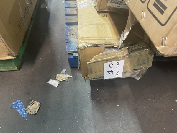 AUCT 4406 CAT 20 - Image 2