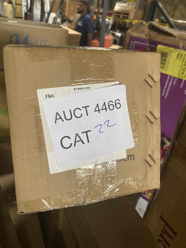 AUCT 4466 CAT 22 - Image 2