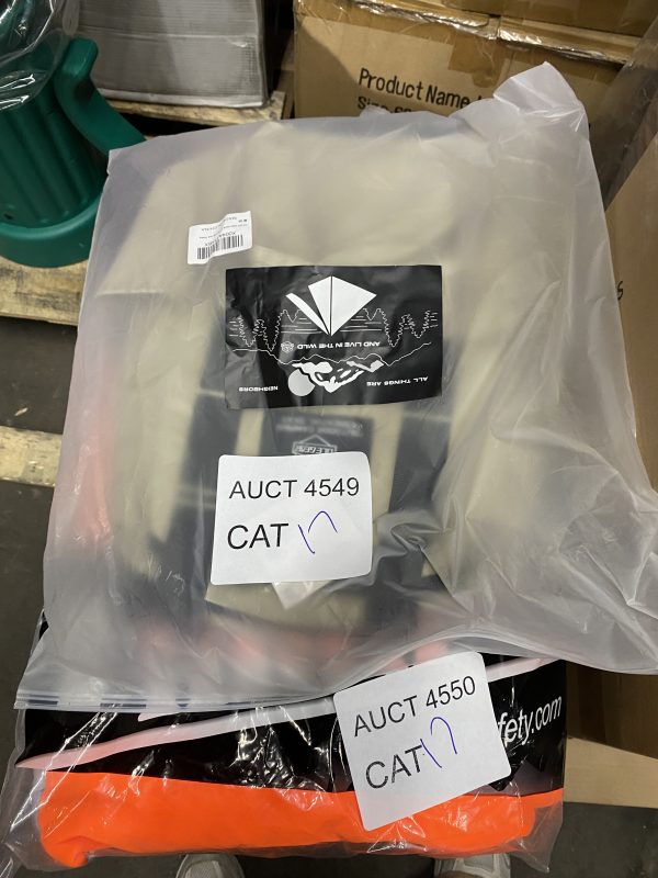 AUCT 4549 CAT 17 - Image 2