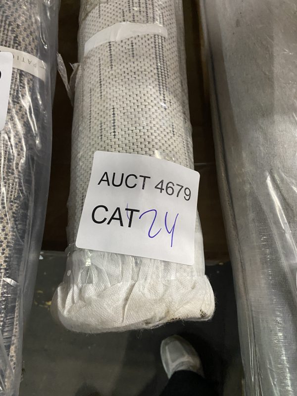 AUCT 4679 CAT 24 - Image 2