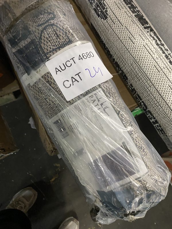 AUCT 4680 CAT 24 - Image 2