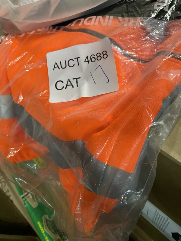 AUCT 4688 CAT 17 - Image 2