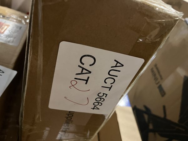 AUCT 5664 CAT 27 - Image 2