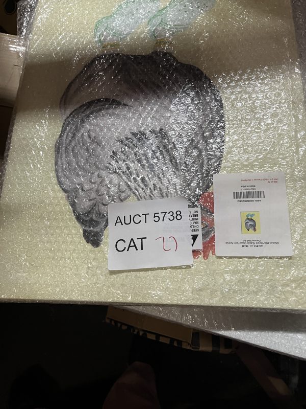 AUCT 5738 CAT 27 - Image 2