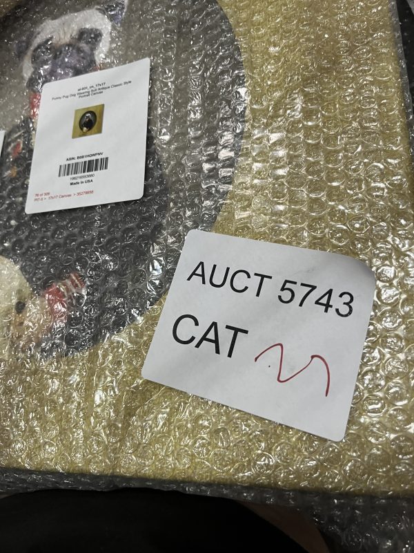 AUCT 5743 CAT 27 - Image 2