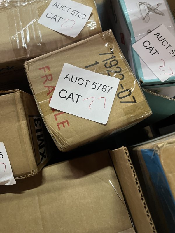 AUCT 5787 CAT 27 - Image 2