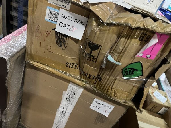 AUCT 5795 CAT 28 - Image 2