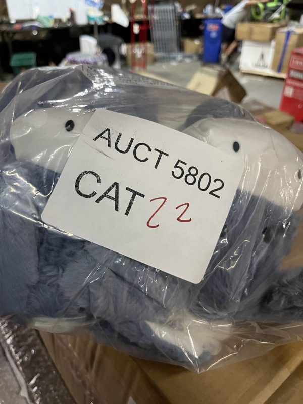 AUCT 5802 CAT 22 - Image 2