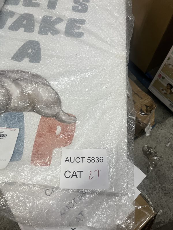 AUCT 5836 CAT 27 - Image 2