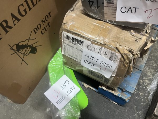 AUCT 5858 CAT 27 - Image 2