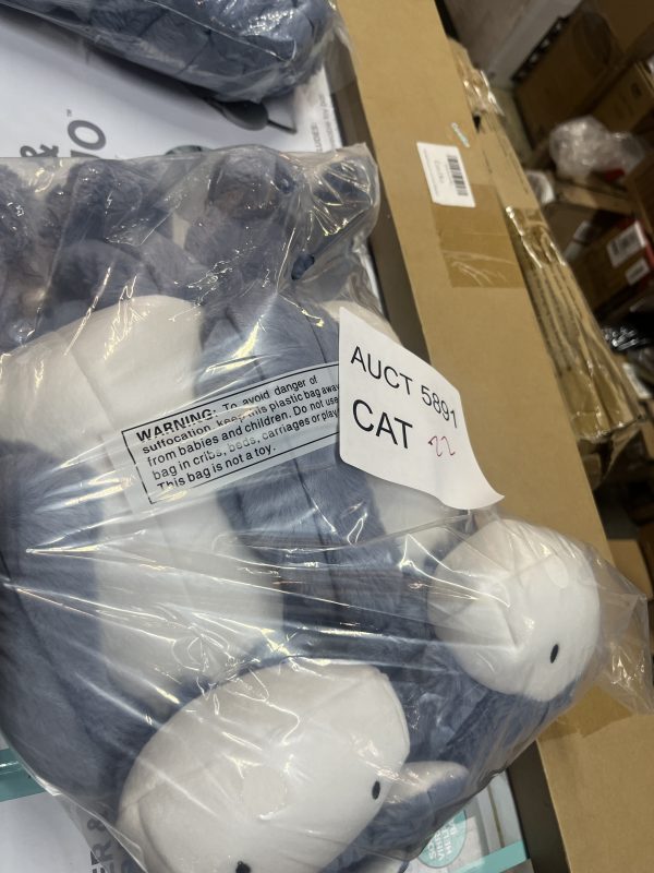 AUCT 5891 CAT 22 - Image 2
