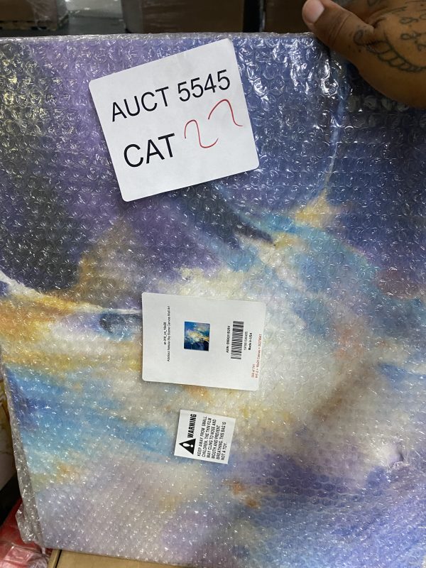 AUCT 5545 CAT 27 - Image 2