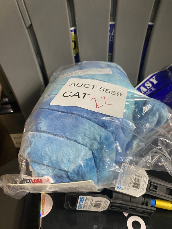 AUCT 5559 CAT 22 - Image 2