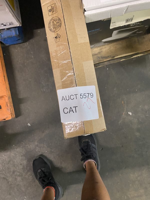 AUCT 5579 CAT 27 - Image 2
