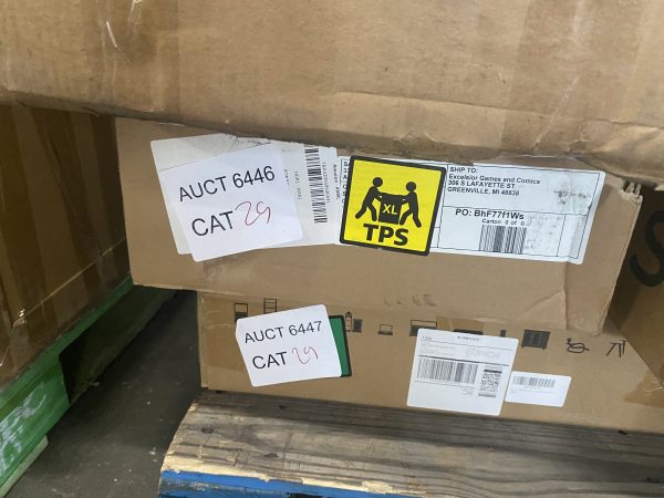 AUCT 6446 CAT 29 - Image 2