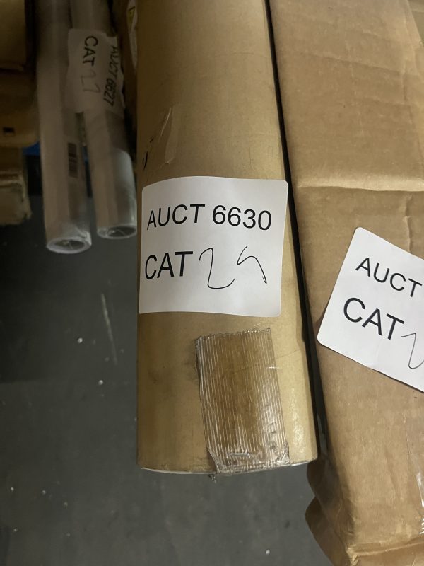 AUCT 6630 CAT 29 - Image 2