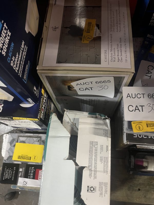AUCT 6665 CAT 30 (Copy) - Image 2