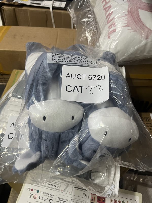 AUCT 6720 CAT 22 - Image 2