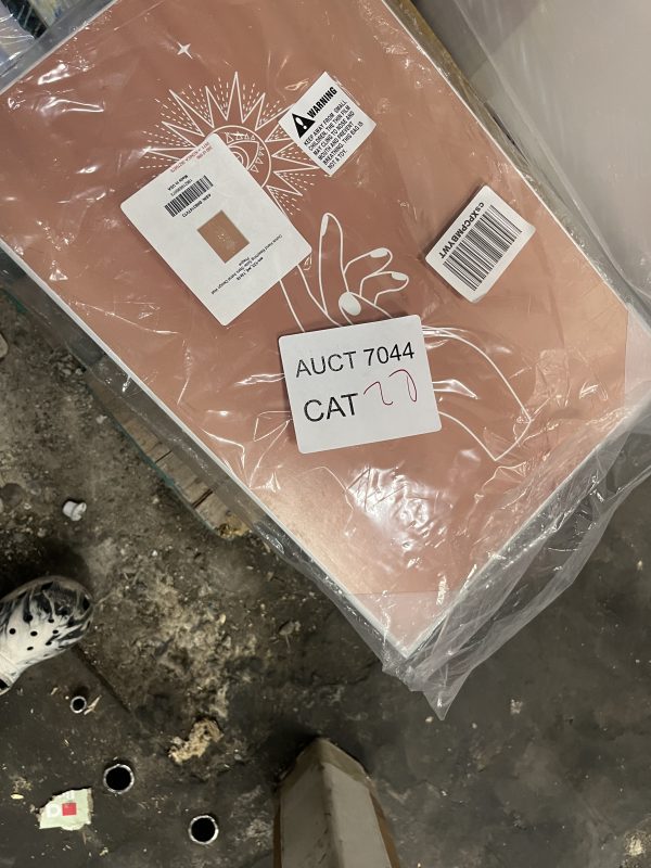 AUCT 7044 CAT 27 - Image 2