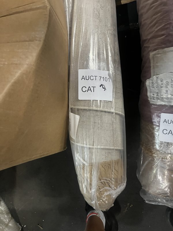 AUCT 7101 CAT 31 - Image 2