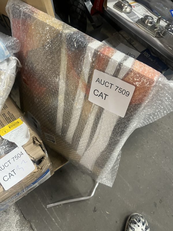 AUCT 7509 CAT 27 - Image 2