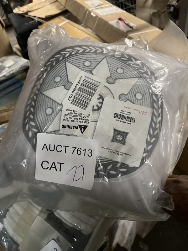 AUCT 7613 CAT 27 - Image 2