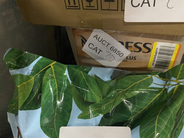 AUCT 6850 CAT 27 - Image 2