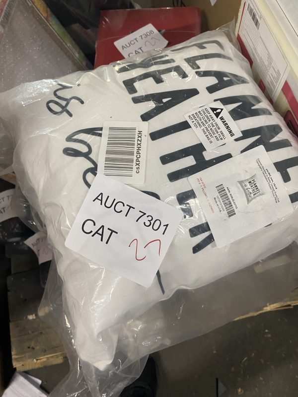 AUCT 7301 CAT 27 - Image 2