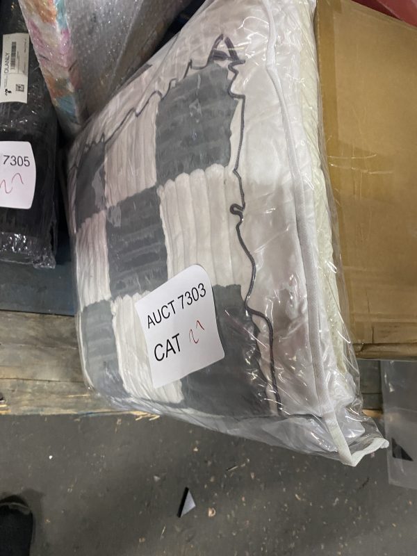 AUCT 7303 CAT 27 - Image 2