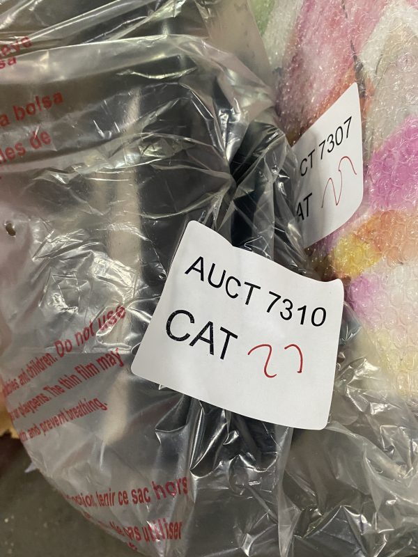 AUCT 7310 CAT 27 - Image 4