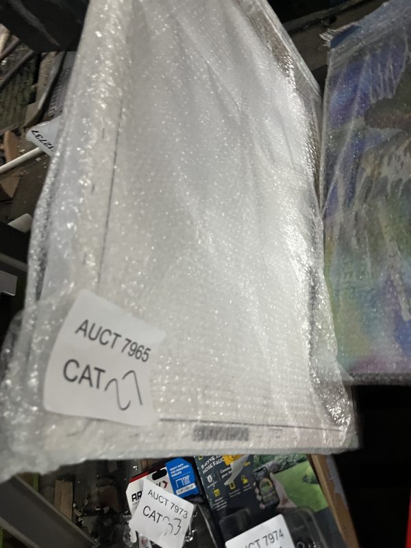 AUCT 7965 CAT 27 - Image 2