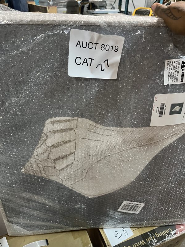 AUCT 8019 CAT 27 - Image 2