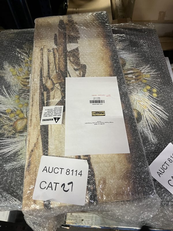 AUCT 8114 CAT 27 - Image 2