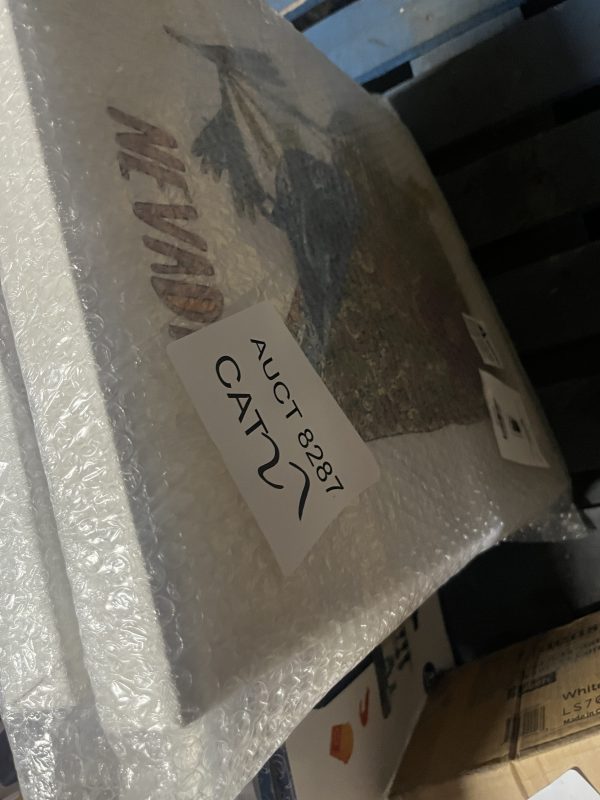AUCT 8287 CAT 27 - Image 2