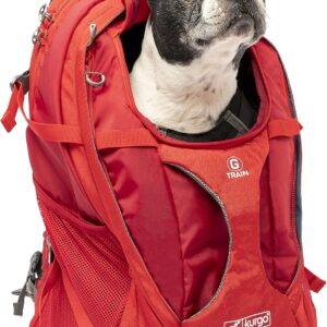 AUCT 11829 - $117 Kurgo G-Train Dog Carrier Backpack - Comfortable Travel