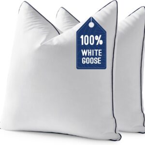 AUCT 11327 - MIULEE Goose Feather Down 20x20 Pillow Insert Set of 2 with