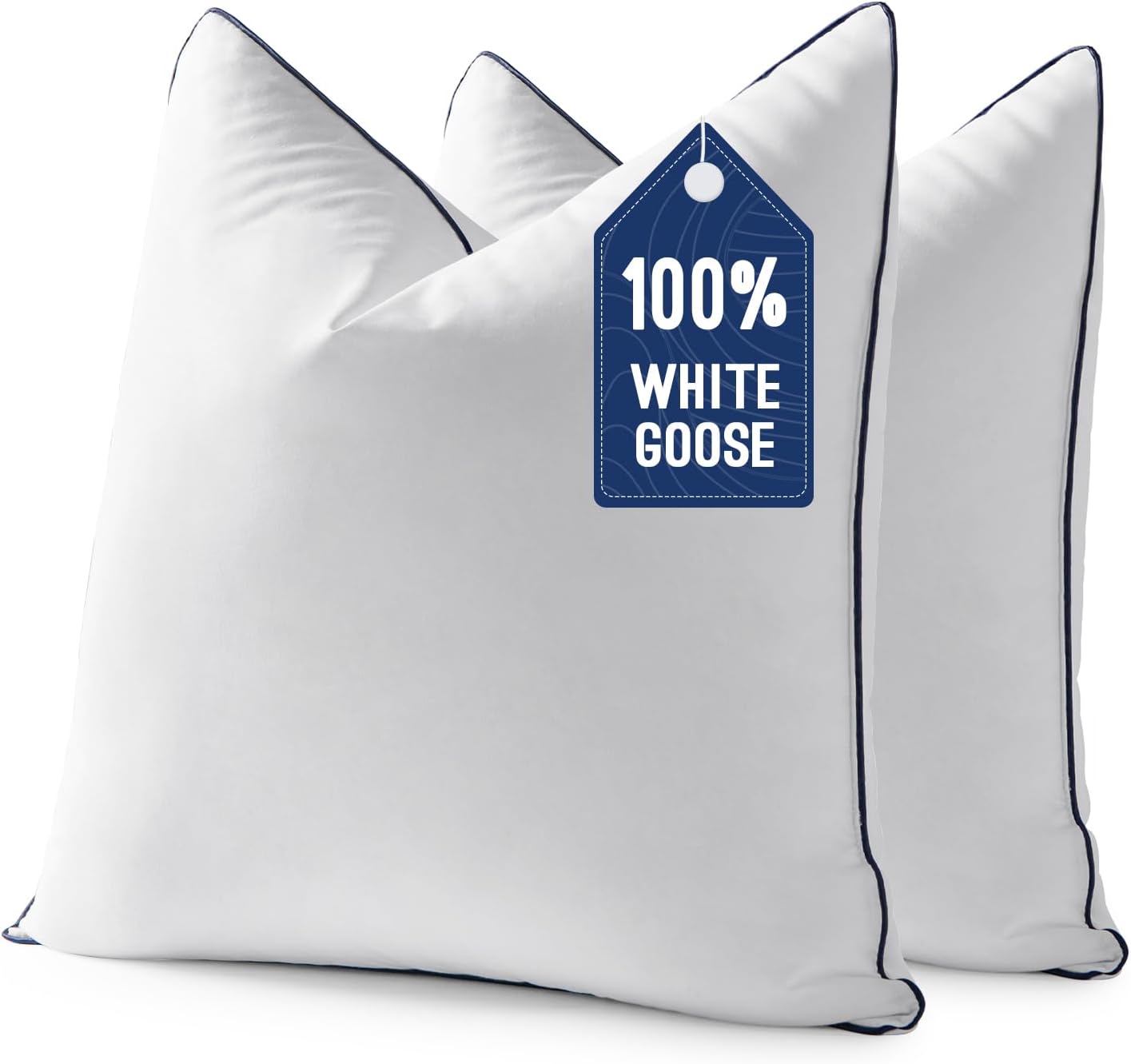 AUCT 11327 - MIULEE Goose Feather Down 20x20 Pillow Insert Set of 2 with