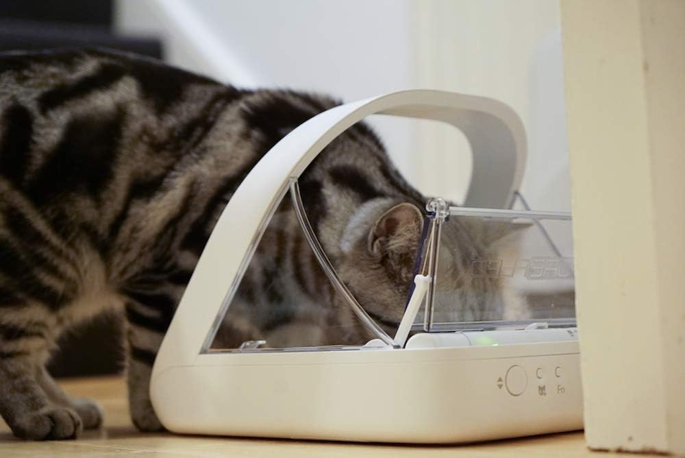 AUCT 11479 - $166 Sure Petcare -SureFlap - SureFeed - Microchip Pet Feede - Image 3