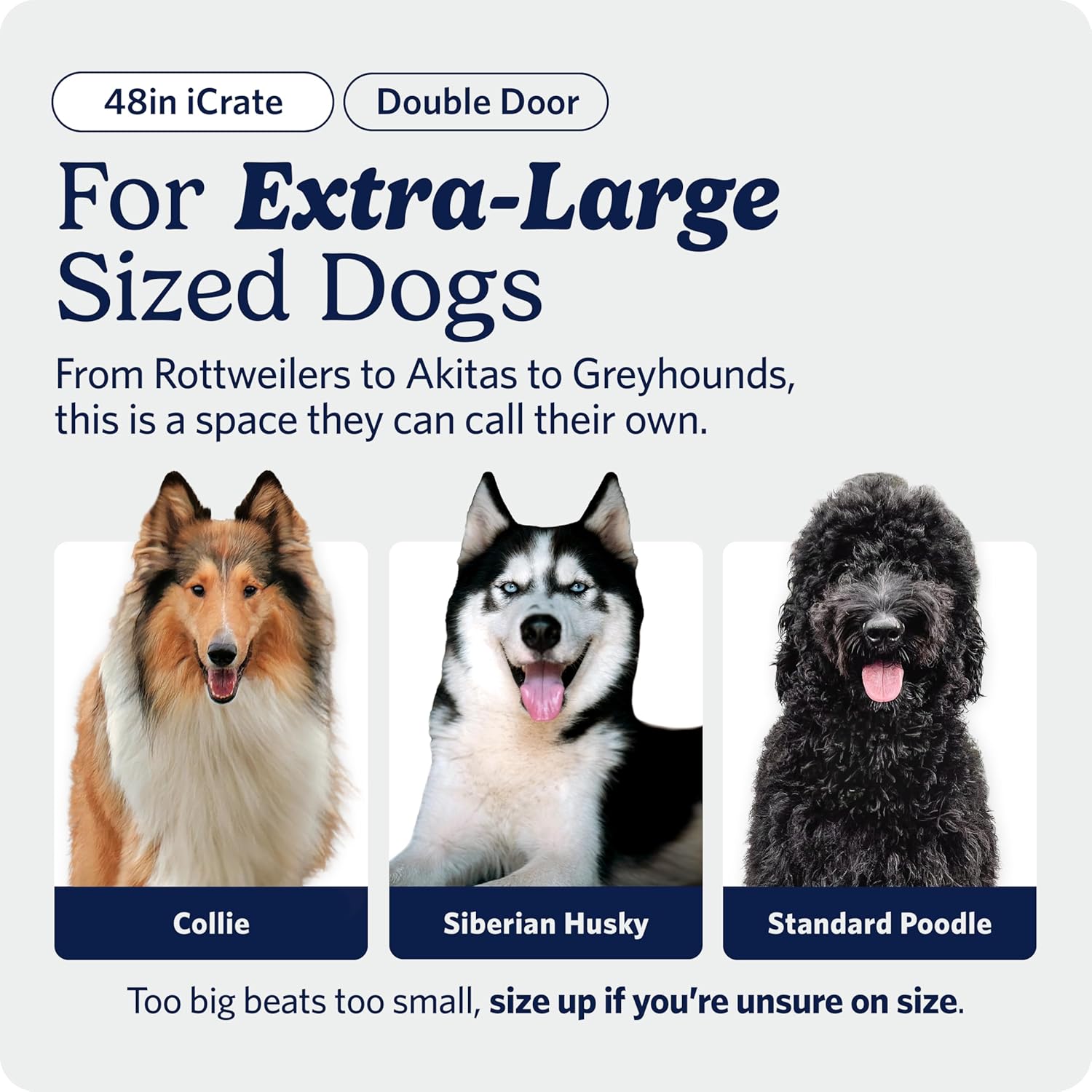 AUCT 12389 - $95 MidWest Homes for Pets 48-Inch iCrate for Extra-Large Br - Image 2